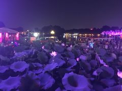 -怡和春天大酒楼(柳芳店)