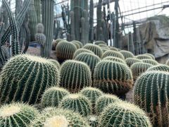 -南山植物园