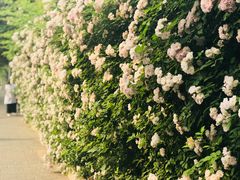 -中国中医科学院针灸医院