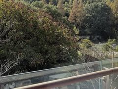 -上海佘山世茂艾美酒店