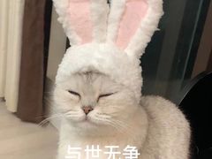 -雪花姐姐(泰华城新天地店)