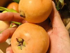 -曼格蒸汽活海鲜·榴莲自助(皇庭广场店)