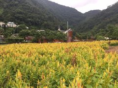 -德庆盘龙峡生态旅游区