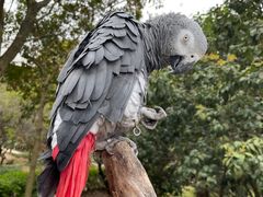 -杭州野生动物世界