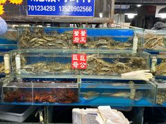 水产区-王四营海鲜市场