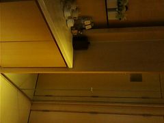 IMG01159-南京THE TAI太和紫金大酒店