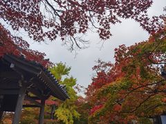 -常寂光寺