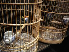 -到家尝北京菜(西坝河店)