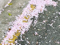-郑和公园