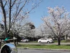 -无忧学车·大众驾校(长宁校区)