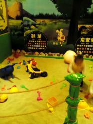 -卡通尼·Safari非洲探索乐园·生日会(金桥国际商业广场店)