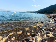 -抚仙湖禄充风景区