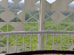 -东寨港红树林旅游区