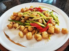 -九龙阁中餐厅