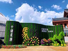 -中国马镇舞马世界主题乐园