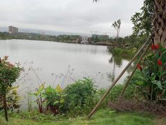 -枫香湖儿童公园