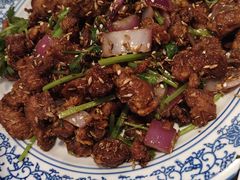 -新侨小馆(东直门北小街店)