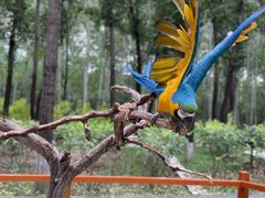 -北京野生动物园