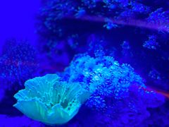 -上和臻品中国菜(花园街店)