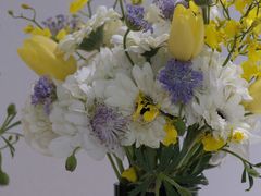 -循礼门鲜花花市(武汉循礼门店)