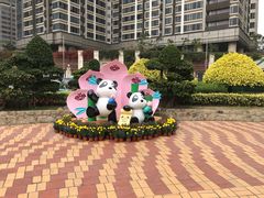 -石排湾郊野公园