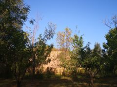 -野鸭湖国家湿地公园