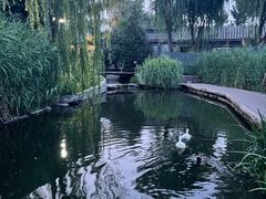 -三里河公园