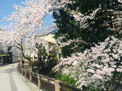 -金泽21世纪美术馆