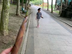 -东方绿舟景区