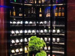 -映水芙蓉(上海万象城店)