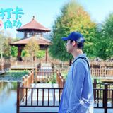 ❤️〖必打卡经景点----厦门最大湿地公园〗