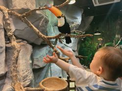 -Zoolung Zoolung动物主题公园(海信广场店)