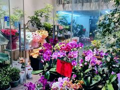 -溪岸路花鸟市场