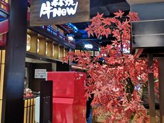 -牛New寿喜烧(闵行龙湖天街店)