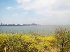 -天津东丽湖风景区