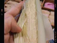 -十二舍·湯物素煮(江泰潤政店)