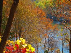 -玉渡山自然风景区