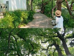 -吴山景区