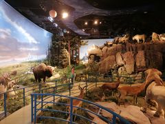 -陕西自然博物馆