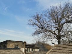 -后海16号·北京私房菜