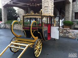 IMG_0493-金庭庄园酒店彩虹厅