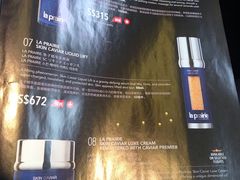 -新加坡航空公司(ION)