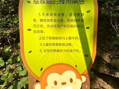 -大岭沟猕猴桃谷风景区