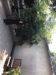-爱儿美儿童摄影(朝阳公园店)
