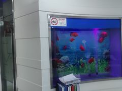 -雅悦齿科(顾村公园店)