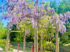 -元大都城垣遗址公园