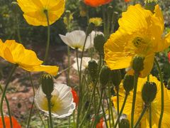 -名花谷生态庄园