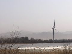 -野鸭湖国家湿地公园