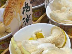 -菌自由丨野生菌火锅特色庭院餐厅(丽江古城店)