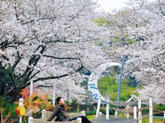 -杭州少年儿童公园